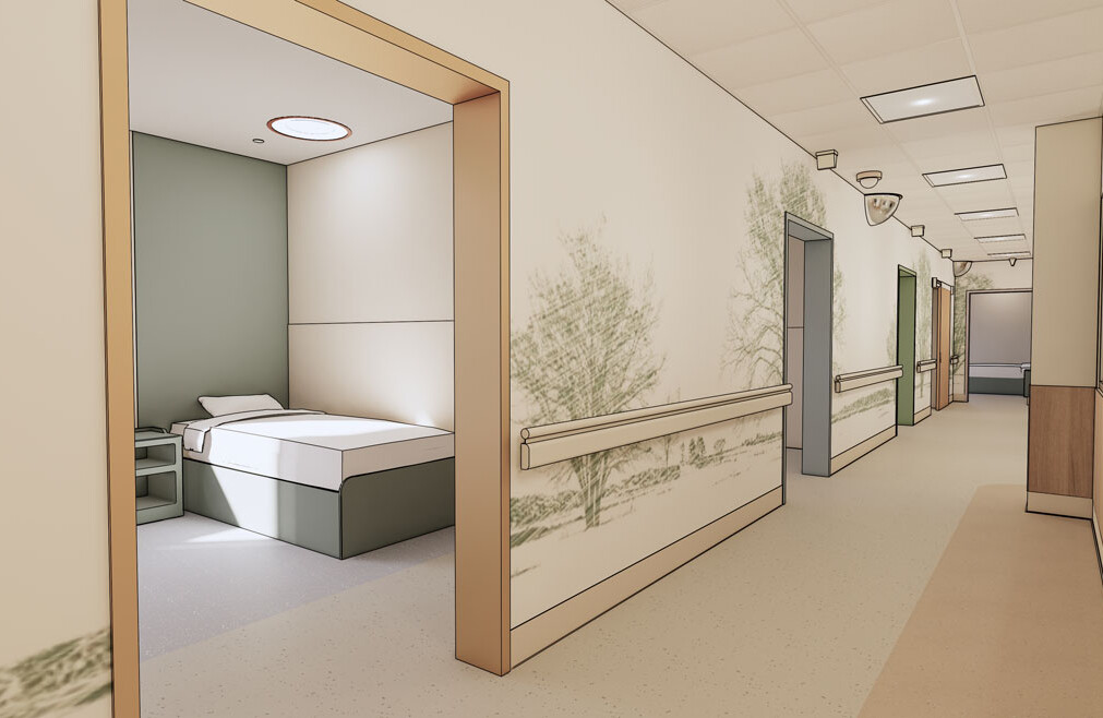 ED - Psych Holding Mileu